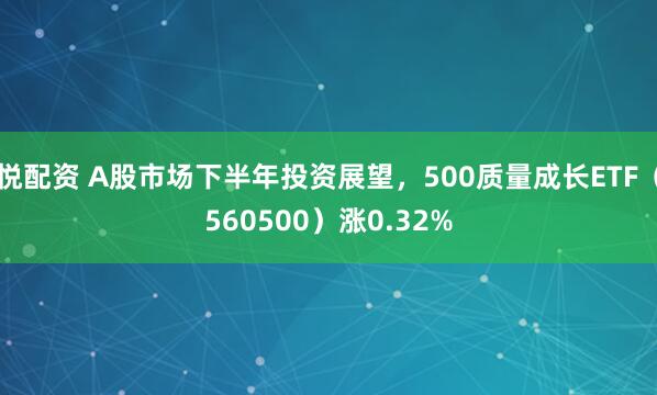 悦配资 A股市场下半年投资展望,500质量成长ETF(560500)涨0.32%