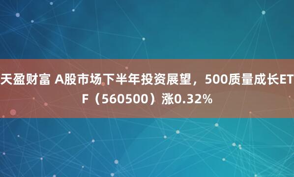 天盈财富 A股市场下半年投资展望，500质量成长ETF（560500）涨0.32%