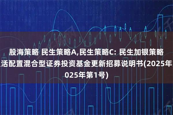 股海策略 民生策略A,民生策略C: 民生加银策略精选灵活配置混合型证券投资基金更新招募说明书(2025年第1号)