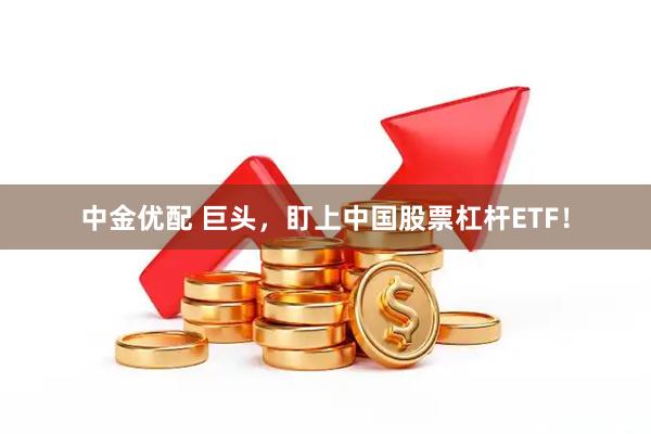 中金优配 巨头,盯上中国股票杠杆ETF!